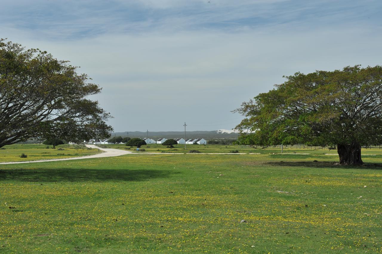 De Hoop Collection Suites De Hoop Nature Reserve Экстерьер фото