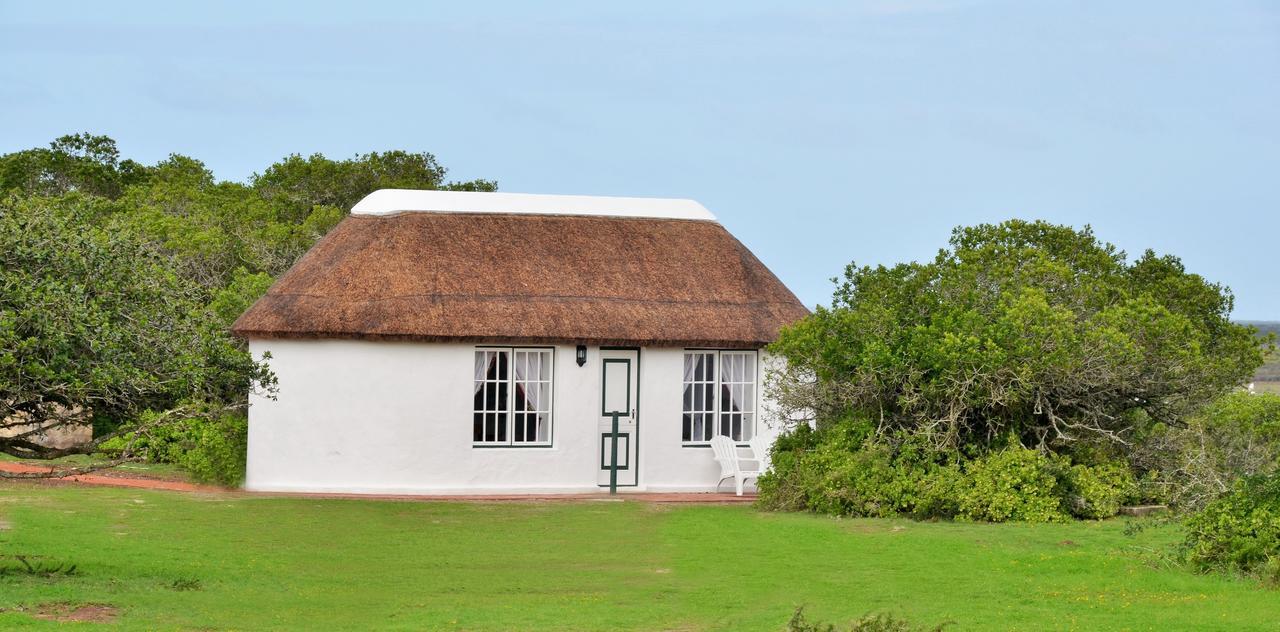 De Hoop Collection Suites De Hoop Nature Reserve Экстерьер фото