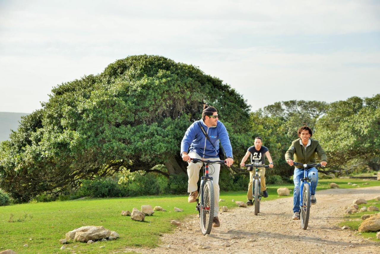 De Hoop Collection Suites De Hoop Nature Reserve Экстерьер фото